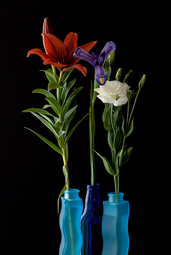 Photo Title:   3 Blue Vases
